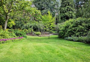 Optimiser l'expérience du jardin à Poce-les-Bois